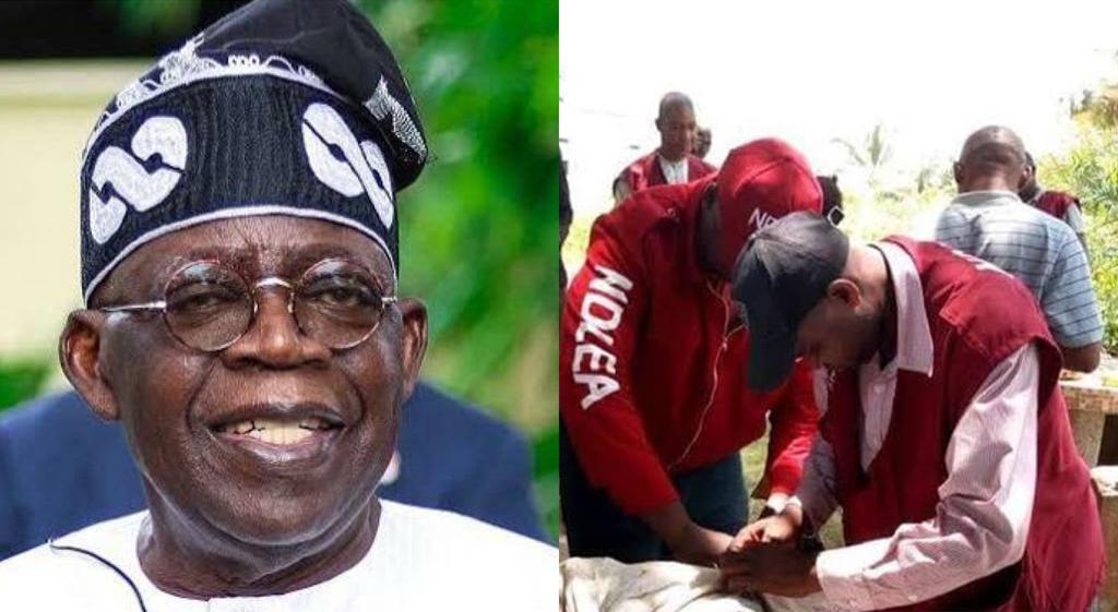 President Tinubu supports NDLEA in fight against drug abuse