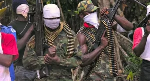 Bandits have been killed by the military in Kaduna Forest