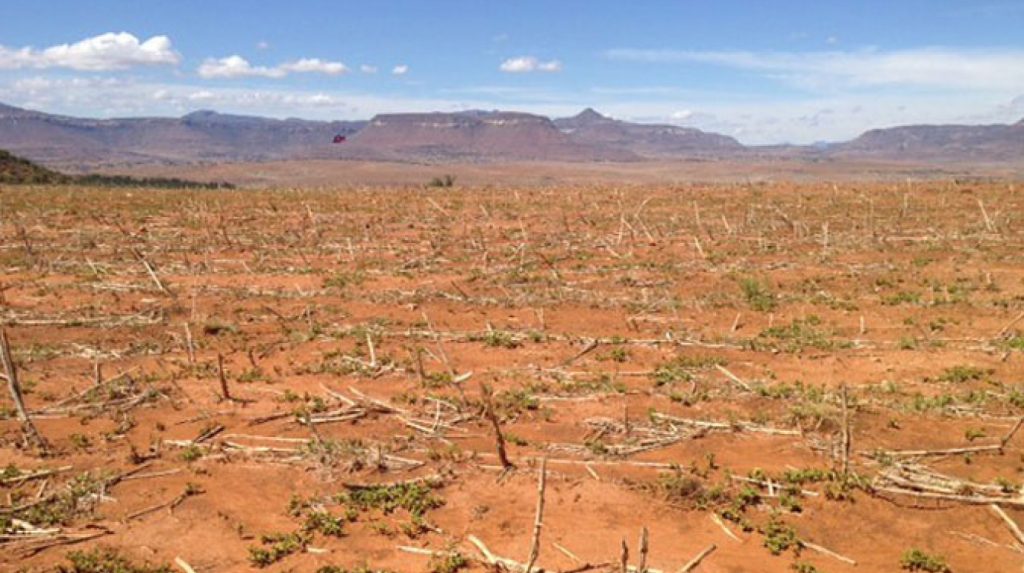 El Niño Drought Devastates Southern Africa